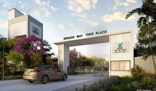 Brigade Oak Tree Place Featured image of Brigade Oak Tree Place